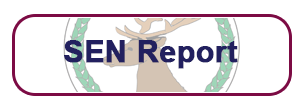 SEN Report